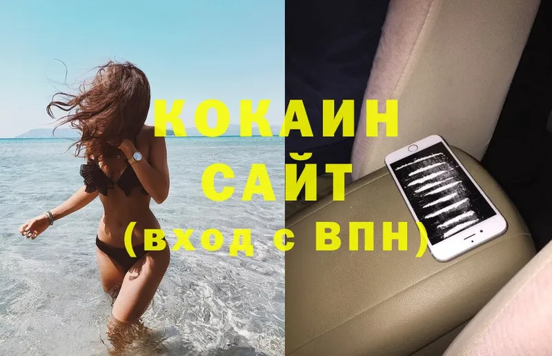 ссылка на мегу как войти  Саров  Кокаин 99% 